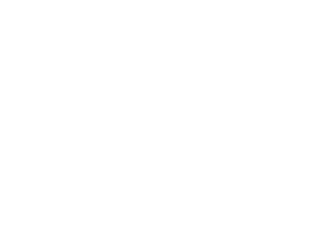 Conexión Artística